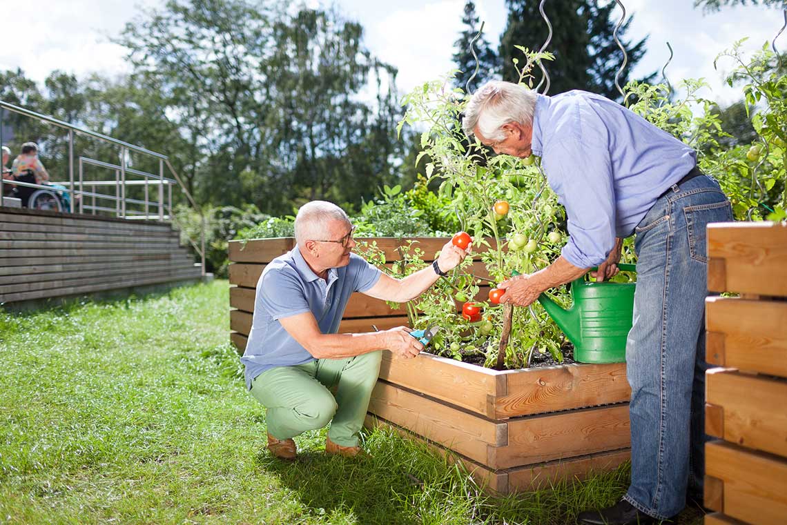 Urban Gardening für Senioren